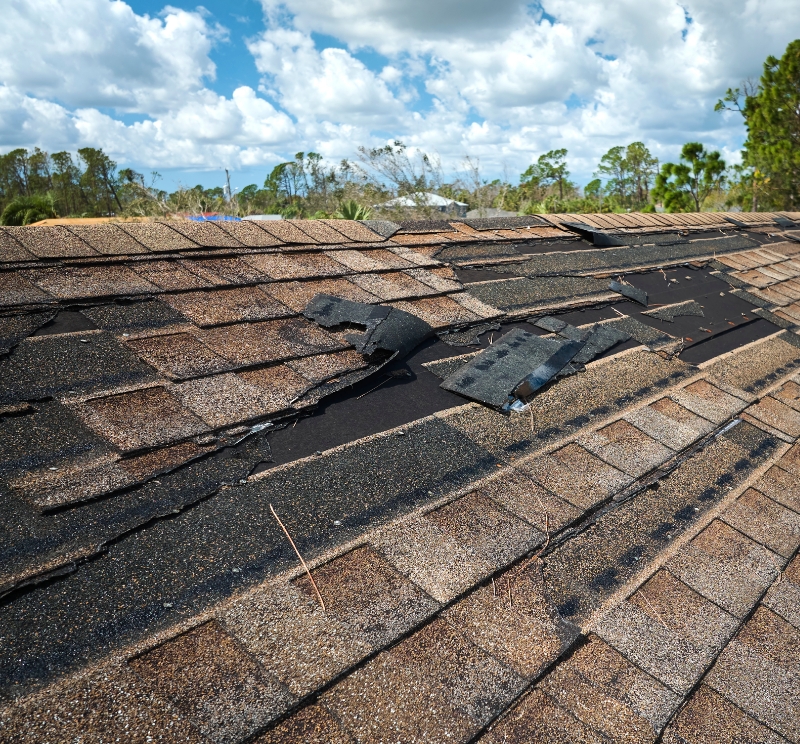 Brentwood roof being fixed by Frederic